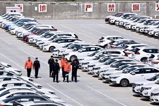 筑牢安全防火墻 消防安全檢查走進新疆最大商品汽車專業貨場